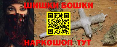 хмурый Бийск