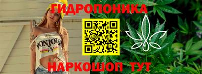 хмурый Бийск
