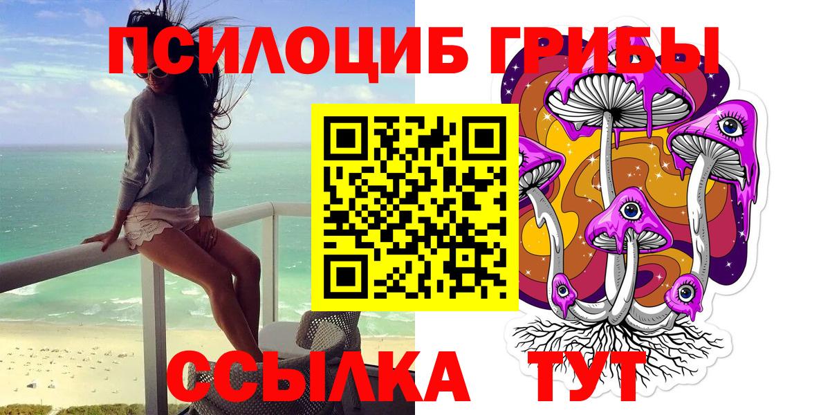 Галлюциногенные грибы Psilocybe  Псилоцибиновые грибы MAGIC MUSHROOMS  Ачхой-Мартан  Вход с VPN 